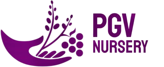 PGV Nursery Logo